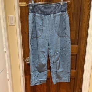 Pilcro Blue Cropped Pants
